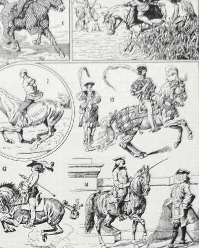 Équitation et chevaux, planche sportive ancienne 1930