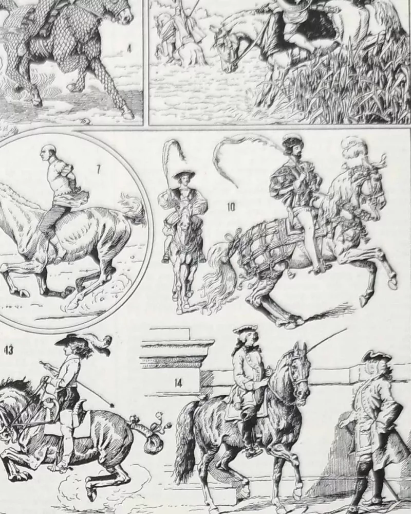 equitation-cheval-b13.jpg Équitation et chevaux, planche sportive ancienne 1930 – détail de la planche ancienne