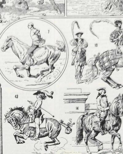 Équitation et chevaux, planche sportive ancienne 1930