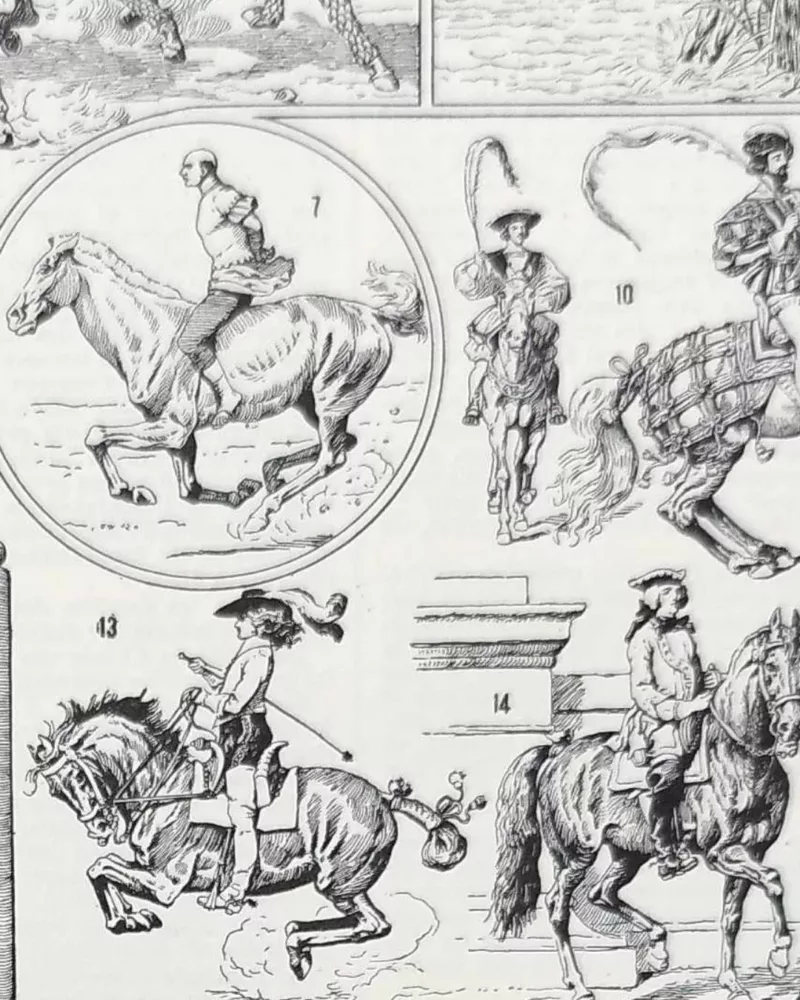 equitation-cheval-b14.jpg Équitation et chevaux, planche sportive ancienne 1930 – détail de la planche ancienne