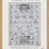 cadre2 Escrime, fleuret, épée et sabre, planche sportive 1930