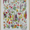fleurs-annuelles-vivaces-01-1-scaled-1.jpg Fleurs n°1, plantes vivaces et annuelles, planche botanique 1930