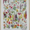 Fleurs n°1, plantes vivaces et annuelles, planche botanique 1930
