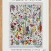 cadre Fleurs n°1, plantes vivaces et annuelles, planche botanique 1930