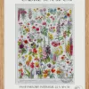 Fleurs n°1, plantes vivaces et annuelles, planche botanique 1930