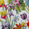 fleurs-annuelles-vivaces-04.jpg Fleurs n°1, plantes vivaces et annuelles, planche botanique 1930