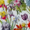Fleurs n°1, plantes vivaces et annuelles, planche botanique 1930