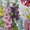 Fleurs n°1, plantes vivaces et annuelles, planche botanique 1930
