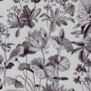 fleurs-annuelles-vivaces-07.jpg Fleurs n°1, plantes vivaces et annuelles, planche botanique 1930