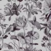 Fleurs n°1, plantes vivaces et annuelles, planche botanique 1930