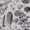 fleurs-annuelles-vivaces-08.jpg Fleurs n°1, plantes vivaces et annuelles, planche botanique 1930