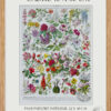 Fleurs n°2, arbres et arbrisseaux en fleurs, planche 1930