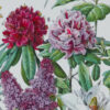Fleurs n°2, arbres et arbrisseaux en fleurs, planche 1930