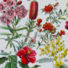 Fleurs n°2, arbres et arbrisseaux en fleurs, planche 1930
