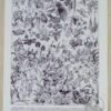 Fleurs n°2, arbres et arbrisseaux en fleurs, planche 1930