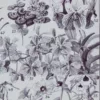 Fleurs n°2, arbres et arbrisseaux en fleurs, planche 1930