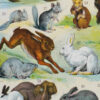 fourrures-animaux-millot-05-2 Fourrures, animaux et savoir-faire, planche originale 1930