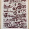 fourrures-animaux-millot-06-scaled-3 Fourrures, animaux et savoir-faire, planche originale 1930