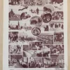 Fourrures, animaux et savoir-faire, planche originale 1930