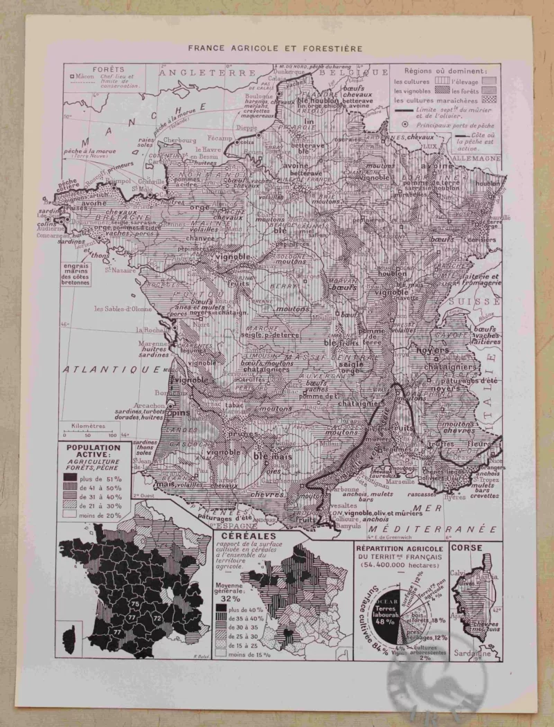 France physique, agricole et forestière, cartes originales 1930
