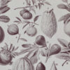 Fruits du monde, planche botanique recto-verso 1930