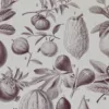 Fruits du monde, planche botanique recto-verso 1930