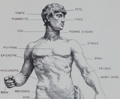 Anatomie humaine, planche médicale recto-verso 1930