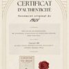 il_fullxfull.7347365263_efc4.jpg Paléontologie jurassique, planche d’Adolphe Millot 1932