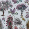 Arbres d’ornement et jardins du monde, planche 1930 – détail de la planche ancienne