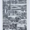 Arbres d’ornement et jardins du monde, planche 1930 – verso du document ancien