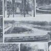 Arbres d’ornement et jardins du monde, planche 1930
