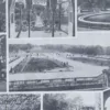 Arbres d’ornement et jardins du monde, planche 1930 – verso du document ancien