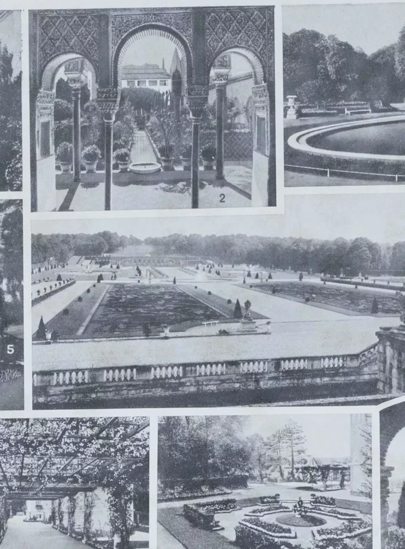 Arbres d’ornement et jardins du monde, planche 1930 – verso du document ancien