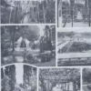 Arbres d’ornement et jardins du monde, planche 1930 – verso encadré en décoration murale