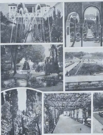 Arbres d’ornement et jardins du monde, planche 1930