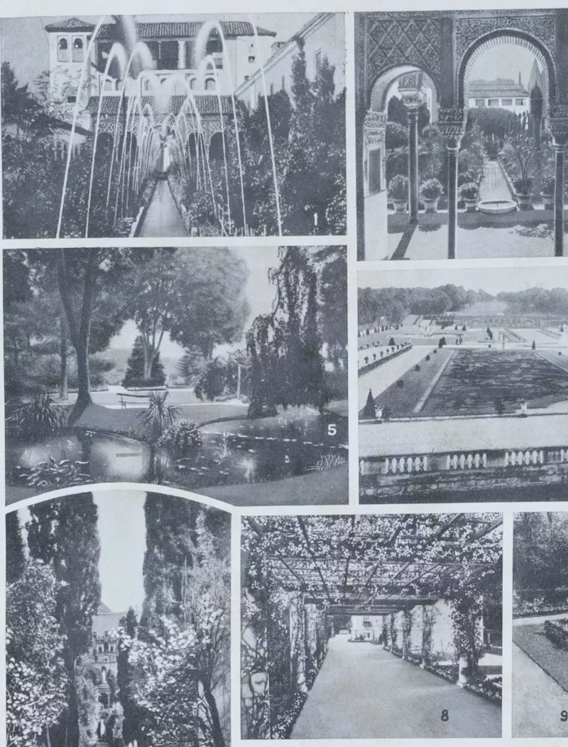 Arbres d’ornement et jardins du monde, planche 1930 – verso encadré en décoration murale
