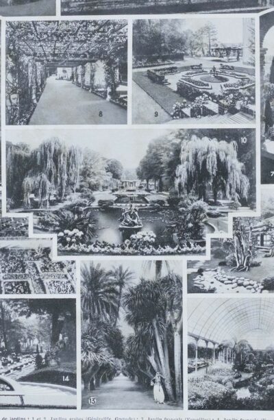 Arbres d’ornement et jardins du monde, planche 1930