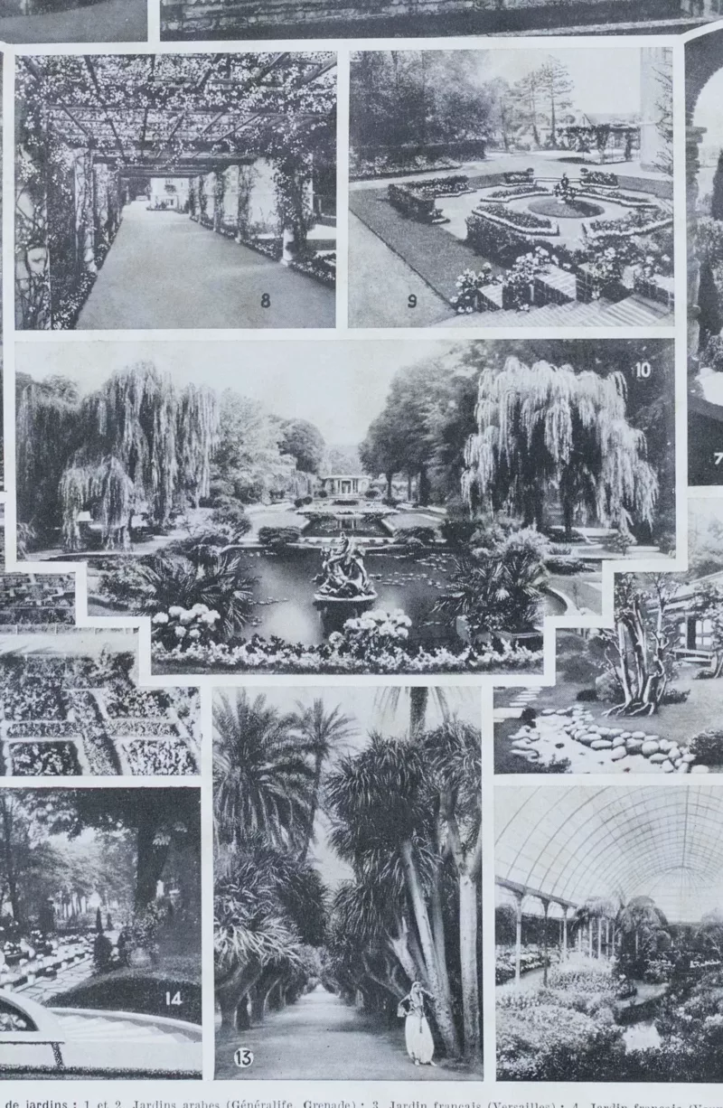 Arbres d’ornement et jardins du monde, planche 1930 – détail du verso