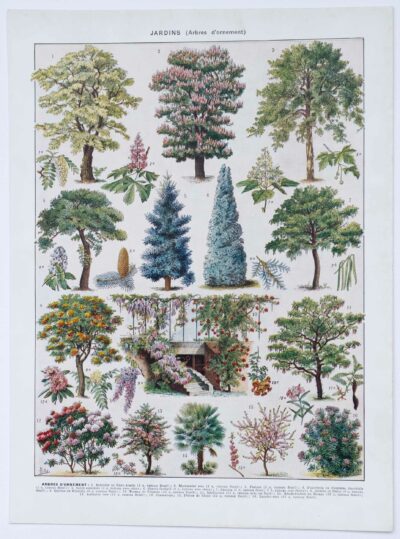 Jardins du monde, botanique et architecture, planche 1930