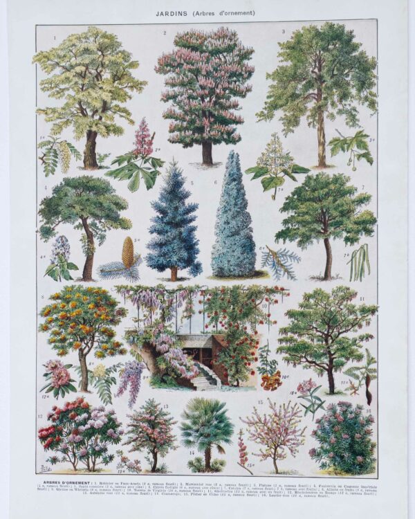 Jardins du monde, botanique et architecture, planche 1930