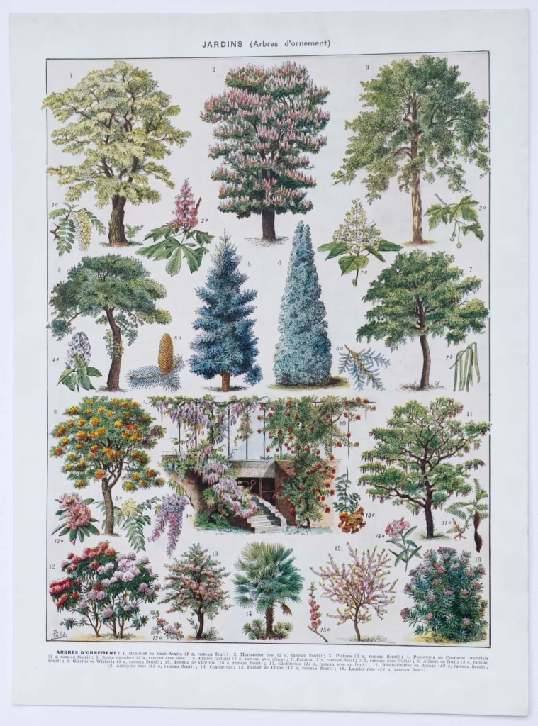 Jardins du monde, botanique et architecture, planche 1930