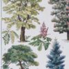 Jardins du monde, botanique et architecture, planche 1930