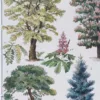 jardin-arbres-ornement-II-a11 Jardins du monde, botanique et architecture, planche 1930 – planche ancienne entière
