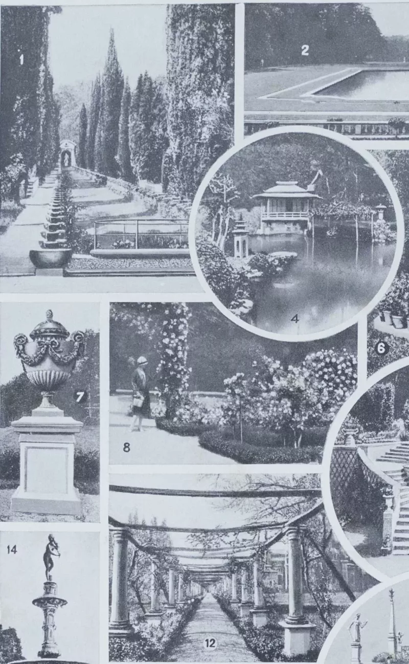 jardin-arbres-ornement-II-a21 Jardins du monde, botanique et architecture, planche 1930 – verso du document ancien