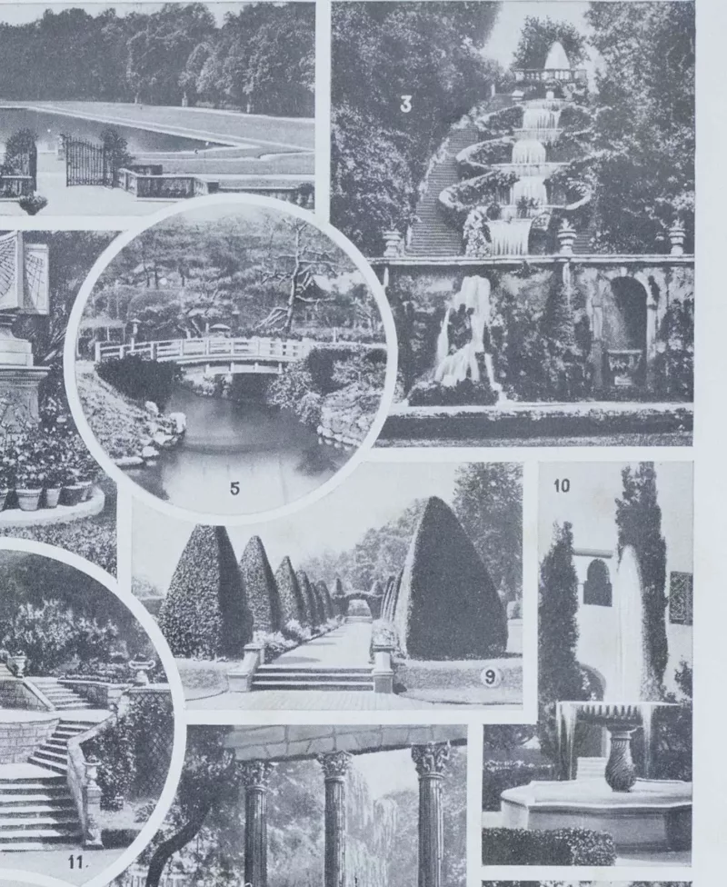 jardin-arbres-ornement-II-a22 Jardins du monde, botanique et architecture, planche 1930 – verso encadré en décoration murale