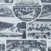 Jardins du monde, botanique et architecture, planche 1930