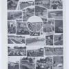 legumes1-a20 Légumes, planche botanique originale 1930 – verso du document ancien