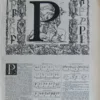 lettreP Lettre P, typographie de Maximilien Vox, planche originale 1932