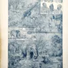 LU11922AFRI-V-afrique Afrique, peuples et faune sauvage illustrés par Adolphe Millot, planche de 1922
