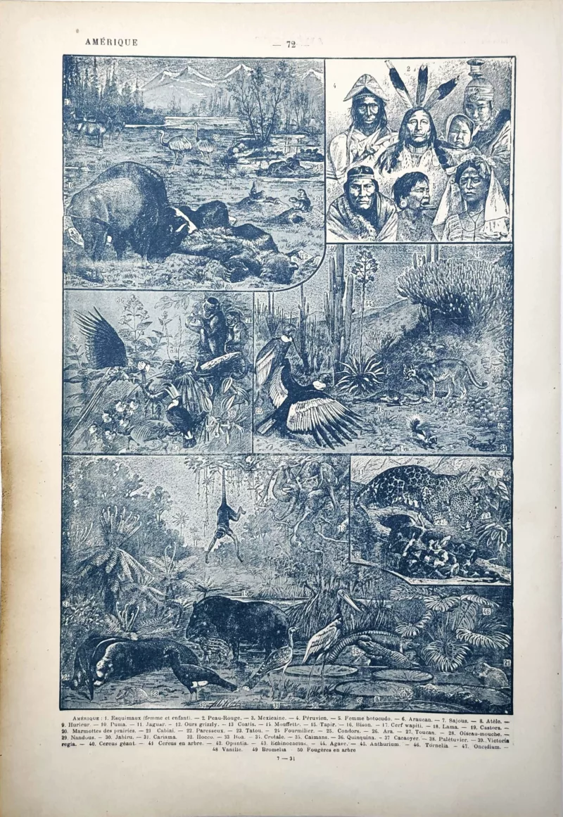 LU11922AMER-V-amerique Amérique, peuples, faune et végétation, planche encyclopédique de 1922